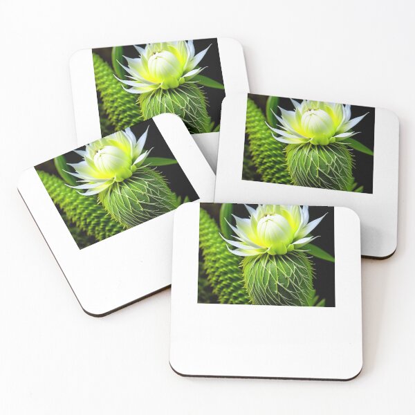Item preview, Night Blooming Cereus, Cactus Flower designed and sold by nicheteees.