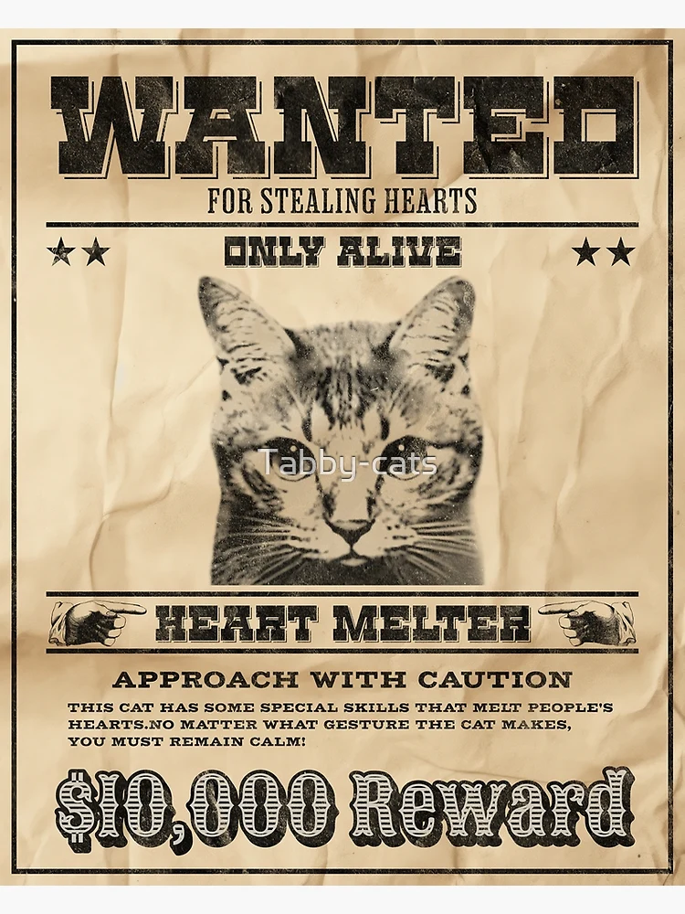 WANTED FOR STEALING HEARTS CAT Old western poster like