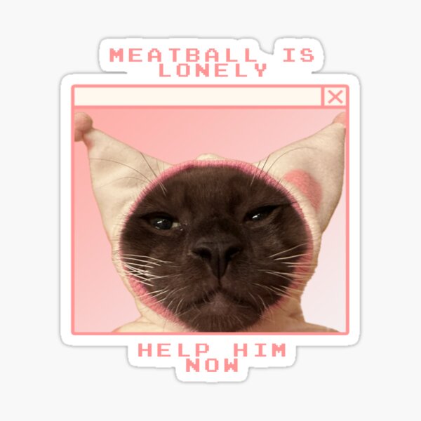 Sticker: Lustige Katzenmemes