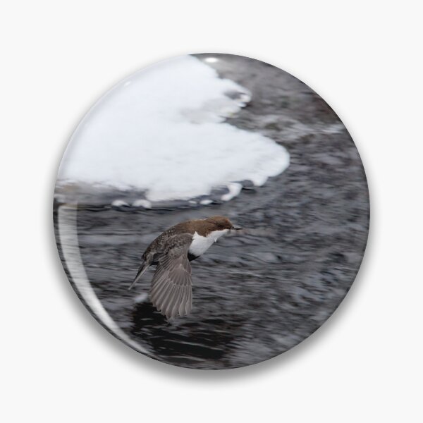 Item preview, 2 inch high. White-throated dipper designed and sold by Jouko Lehto Photography.