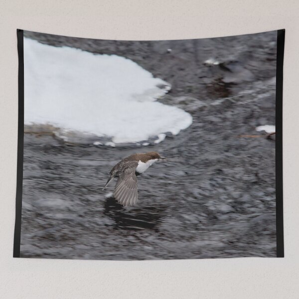 Item preview, 2 inch high. White-throated dipper designed and sold by Jouko Lehto Photography.