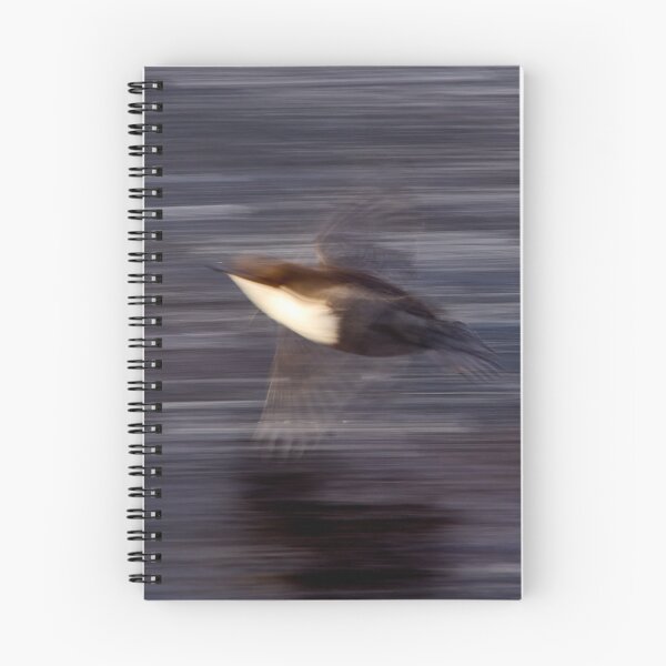 Item preview, Speed abstract. White-throated dipper designed and sold by Jouko Lehto Photography.