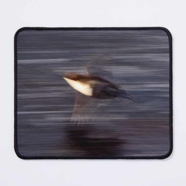 Item preview, Speed abstract. White-throated dipper designed and sold by Jouko Lehto Photography.