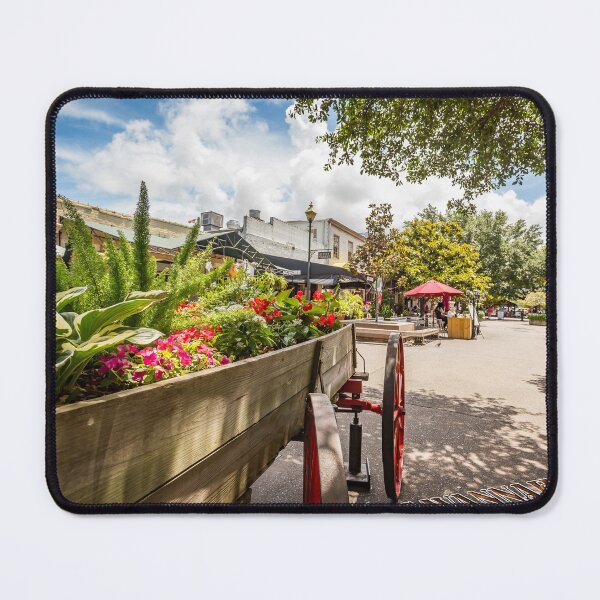 Item preview, Savannah City Market designed and sold by GestaltImagery.
