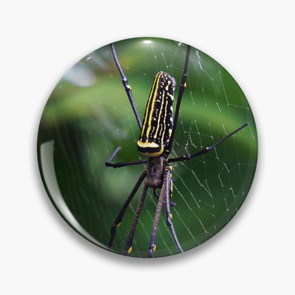Item preview, Orb Weaver designed and sold by likbatonboot.