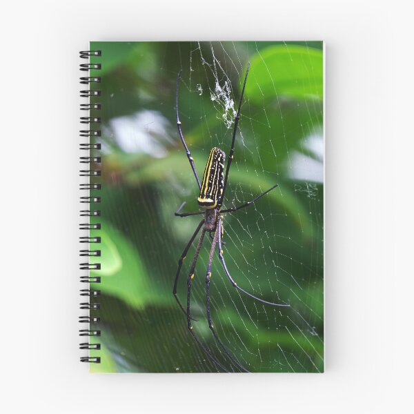 Item preview, Orb Weaver designed and sold by likbatonboot.