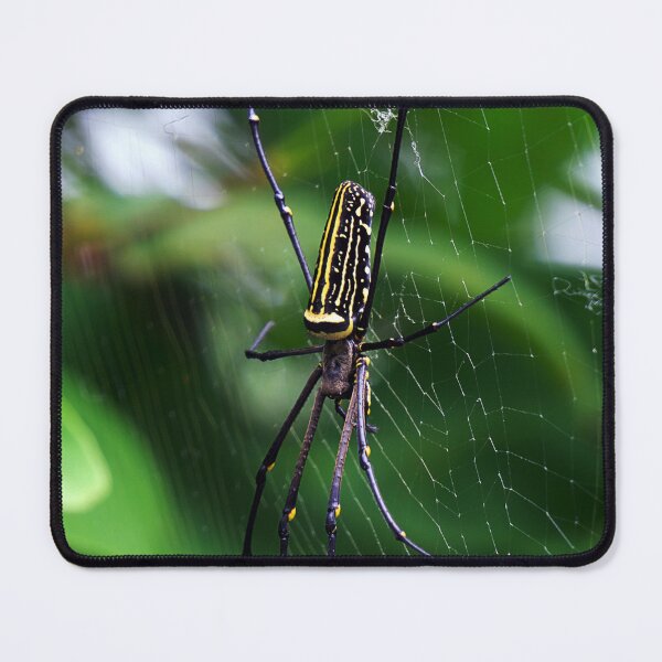 Item preview, Orb Weaver designed and sold by likbatonboot.
