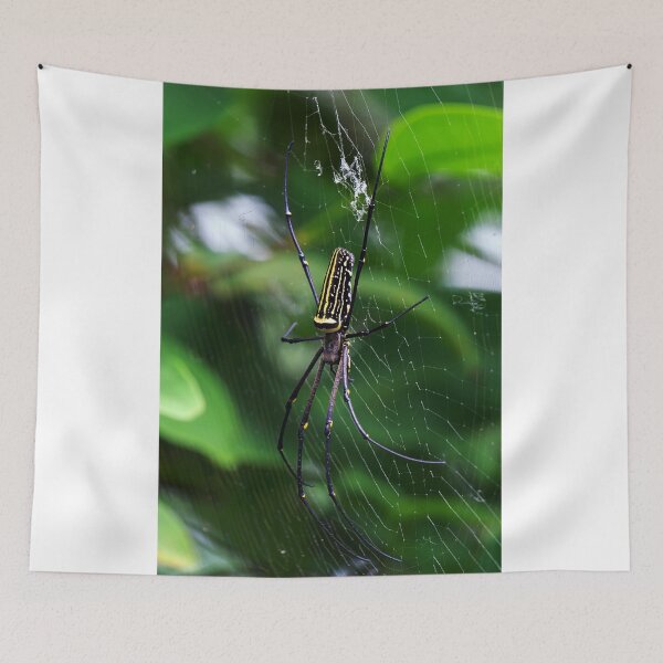 Item preview, Orb Weaver designed and sold by likbatonboot.