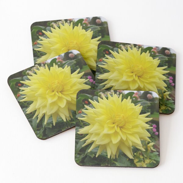 Item preview, Yellow Dahlia 2 designed and sold by Claire L Page Photography.