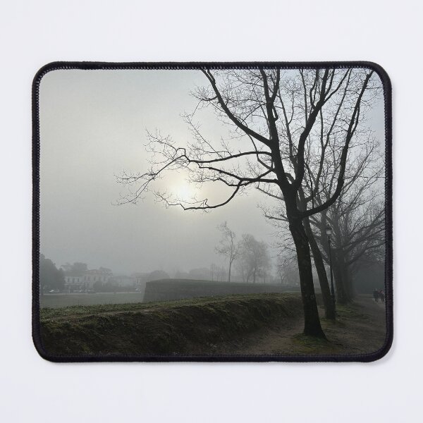 Item preview, sun between the branches designed and sold by BreeFarinaPhoto.