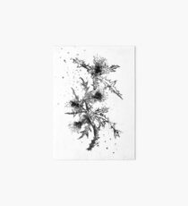 Scottish Thistle, watercolor Scottish Thistle Art Board