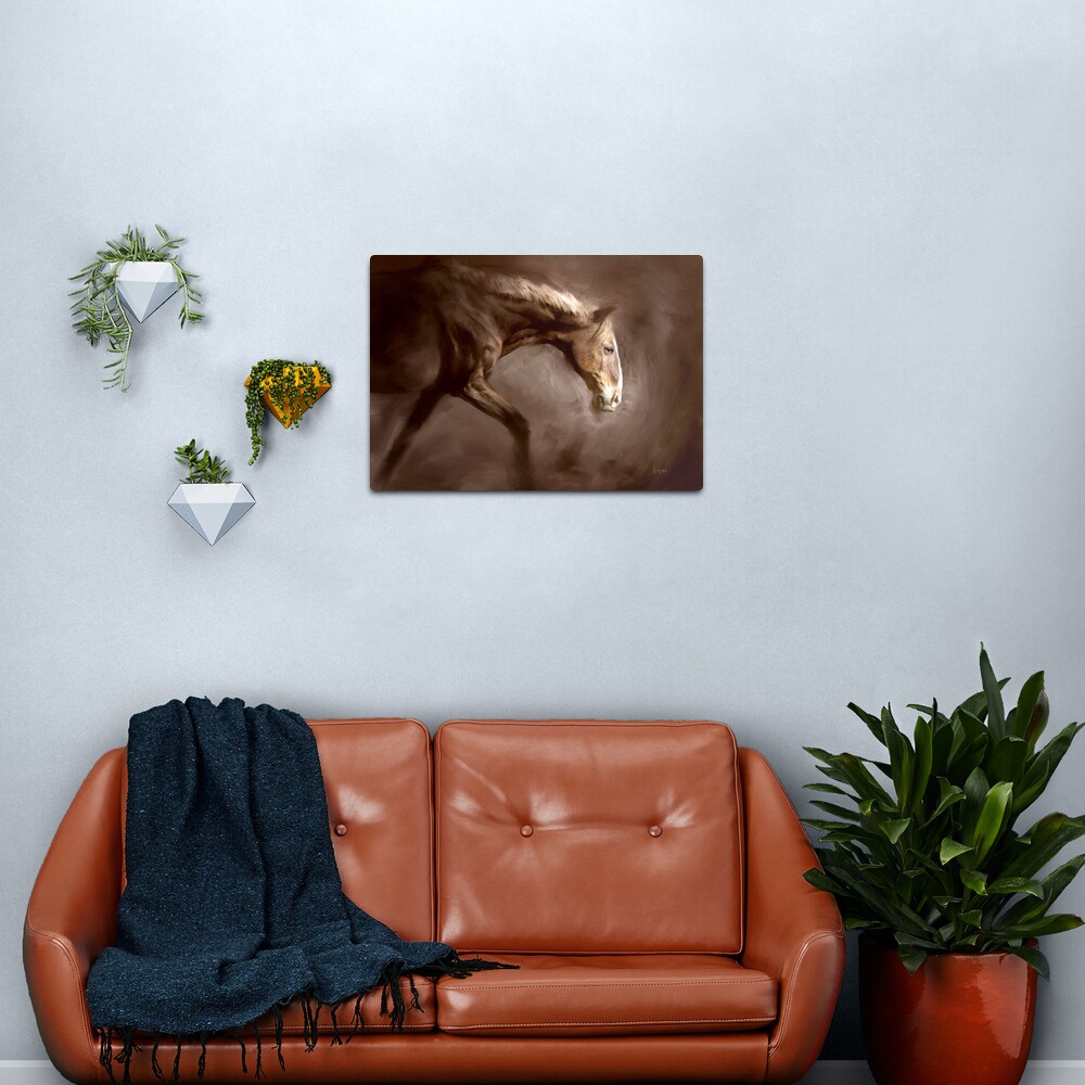 Sundango Metal Print