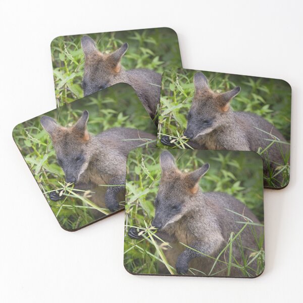 Item preview, Adorable Swamp wallaby, Australia - wallaby designed and sold by Tara Smithson.