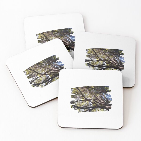 Item preview, The Forest from Below: A Glimpse of Nature's Wonder designed and sold by tadeba.
