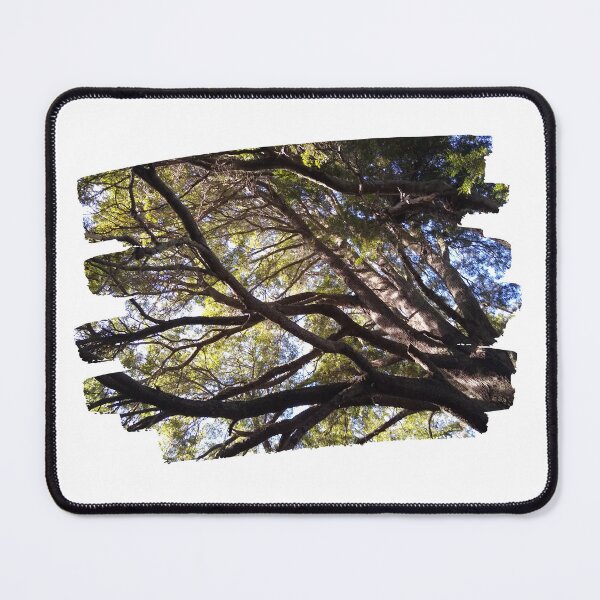 Item preview, The Forest from Below: A Glimpse of Nature's Wonder designed and sold by tadeba.