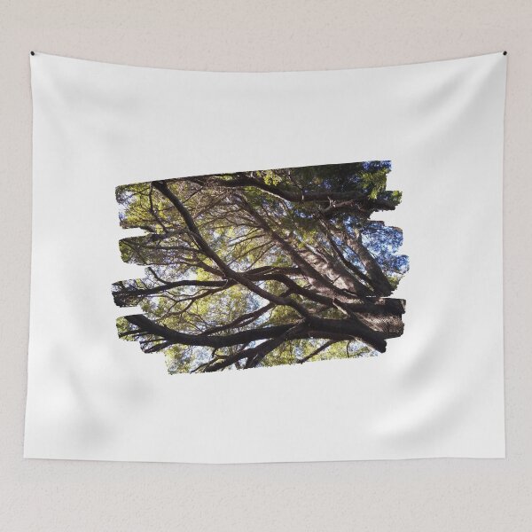 Item preview, The Forest from Below: A Glimpse of Nature's Wonder designed and sold by tadeba.