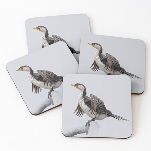 Item preview, Pied cormorant wing spread - bird designed and sold by Tara Smithson.