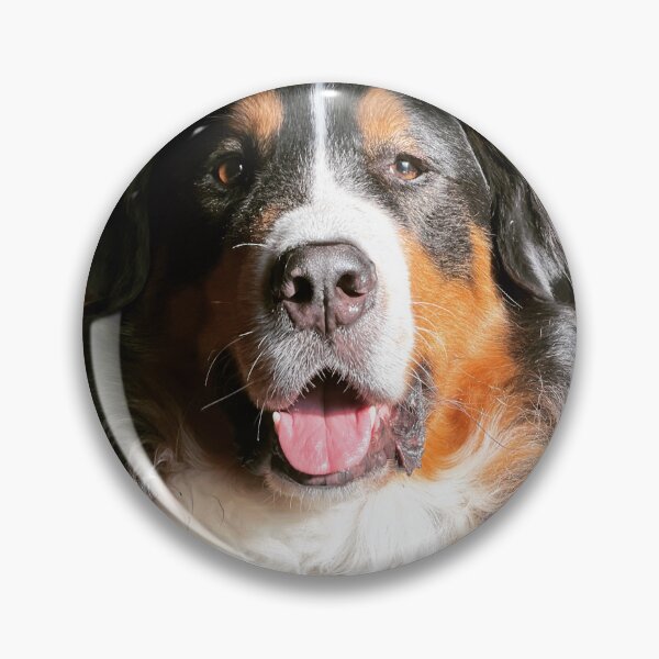 Item preview, Galileo designed and sold by Christine  Wilson Photos.