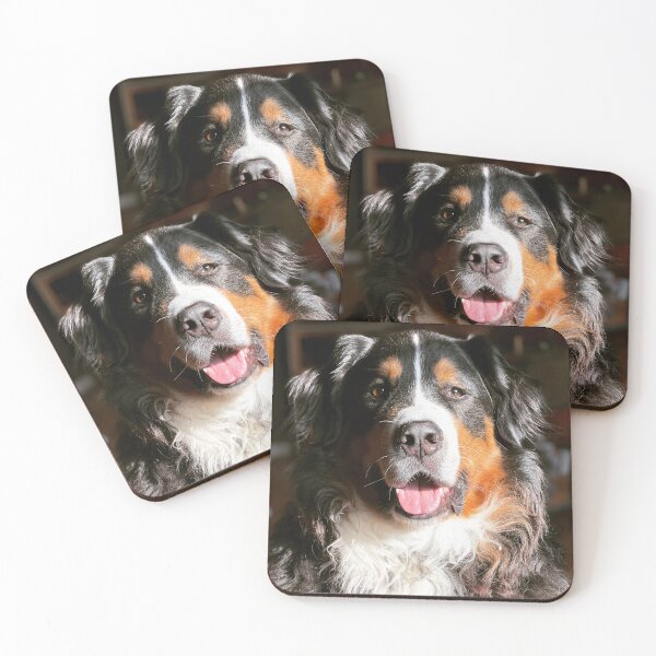 Item preview, Galileo designed and sold by Christine  Wilson Photos.