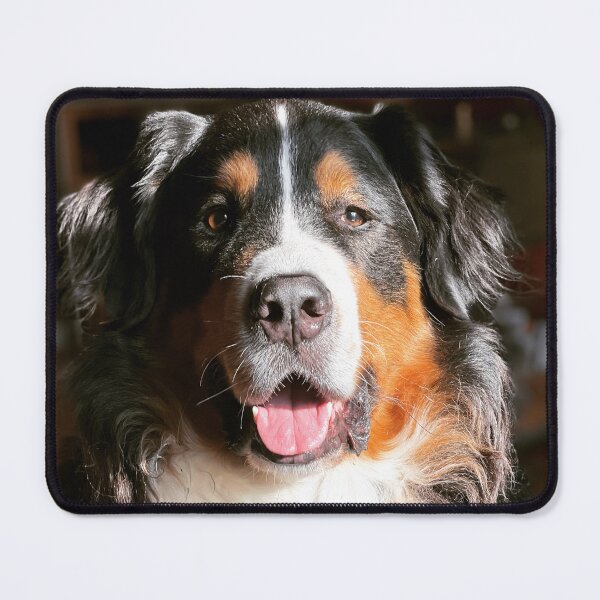 Item preview, Galileo designed and sold by Christine Wilson Photos.