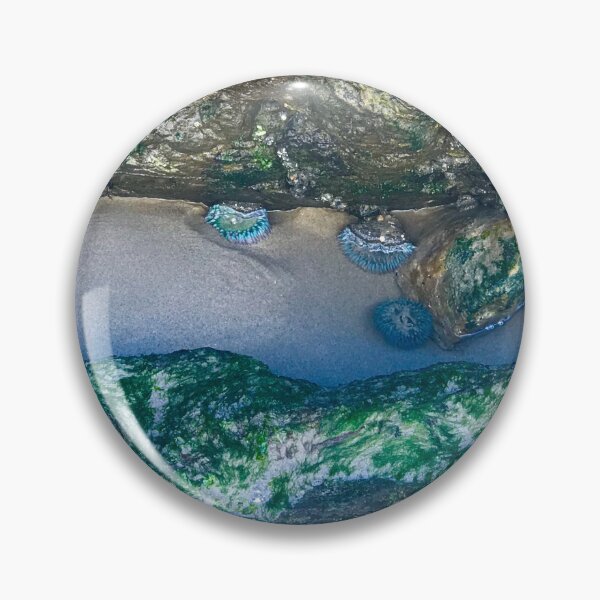 Item preview, Tide Pools designed and sold by Christine  Wilson Photos.