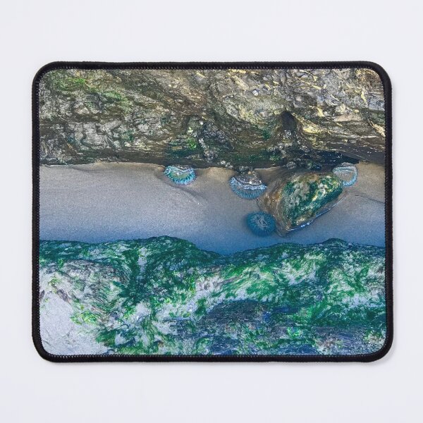Item preview, Tide Pools designed and sold by Christine Wilson Photos.
