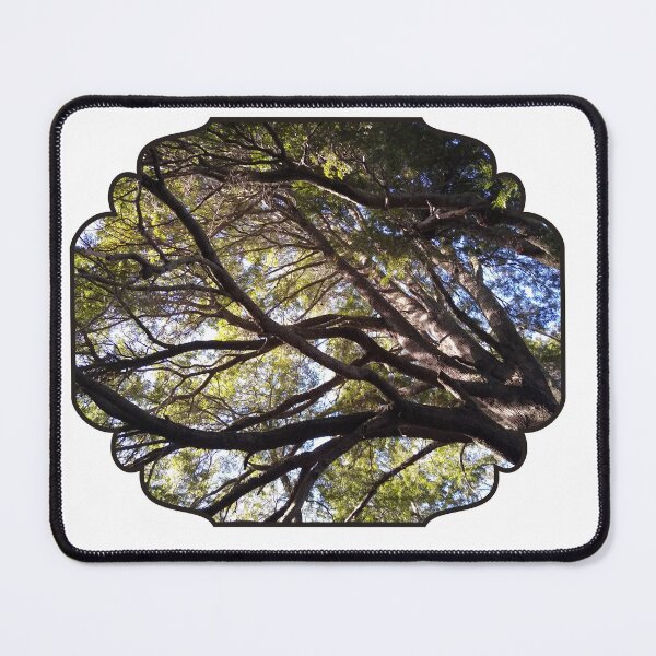 Item preview, Forest from Below: A Glimpse of Nature's Wonder designed and sold by tadeba.