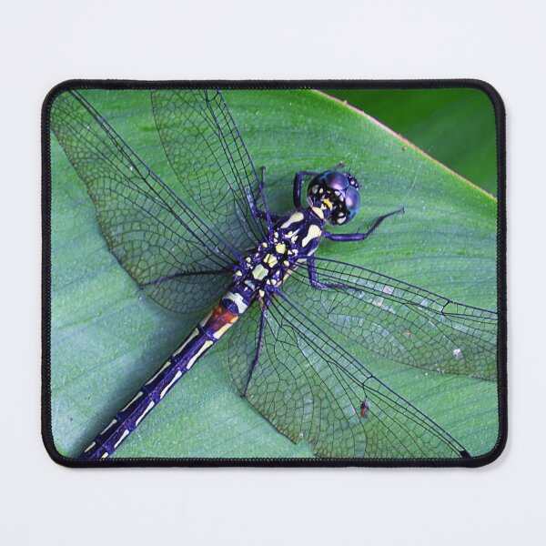 Item preview, DRAGONFLY designed and sold by likbatonboot.