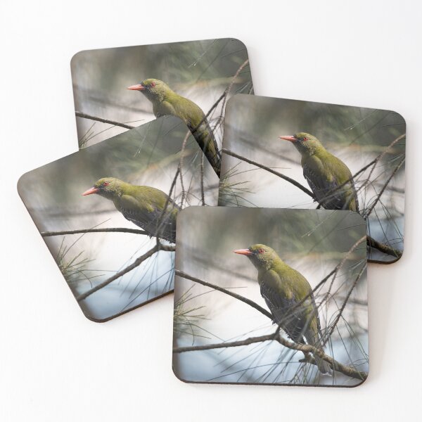 Item preview, Olive backed Oriele - Australian bird designed and sold by Tara Smithson.