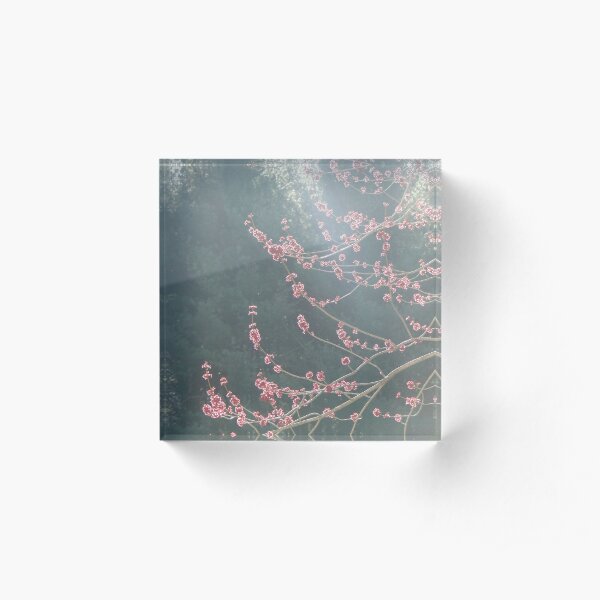 Fairy Spring #1 Acrylic Block