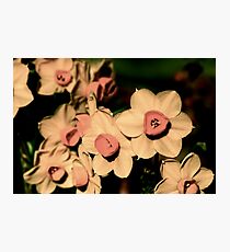 pout Photographic Print