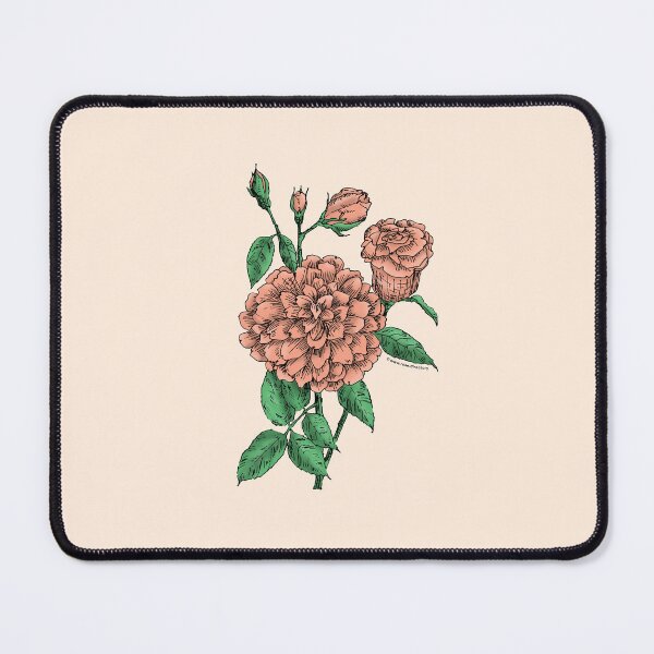 Item preview, Apricot Flat Rose Bloom Full 26-40 Petals In 3+ Rows designed and sold by Rachael Taylor.