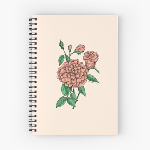 Item preview, Apricot Flat Rose Bloom Full 26-40 Petals In 3+ Rows designed and sold by Rachael Taylor.