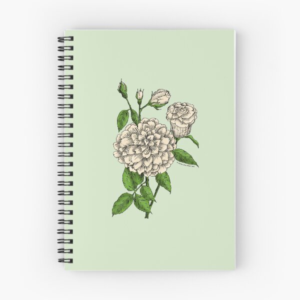 Item preview, Cream Flat Rose Bloom Full 26-40 Petals In 3+ Rows designed and sold by Rachael Taylor.