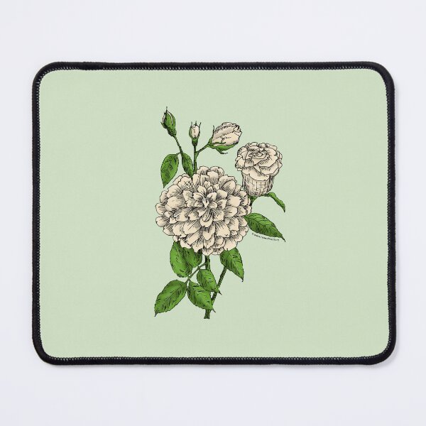 Item preview, Cream Flat Rose Bloom Full 26-40 Petals In 3+ Rows designed and sold by Rachael Taylor.