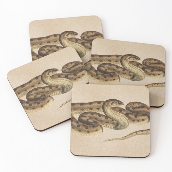 Item preview, Vintage Snake Scientific Illustration  designed and sold by InnerCitadel.