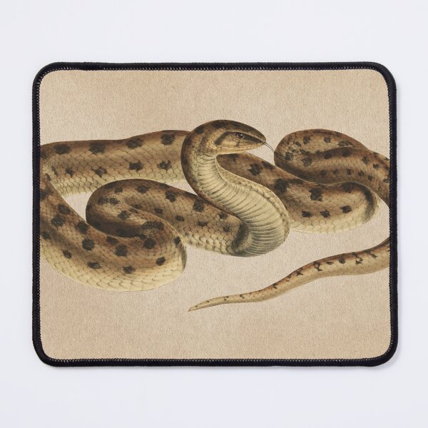 Item preview, Vintage Snake Scientific Illustration  designed and sold by InnerCitadel.
