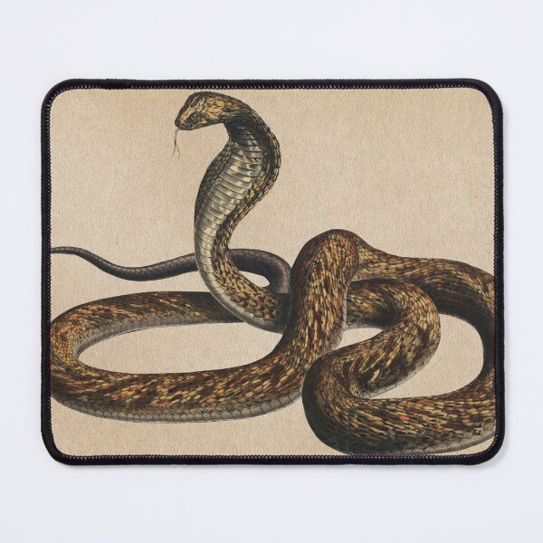 Item preview, King Cobra Vintage Scientific Illustration designed and sold by InnerCitadel.