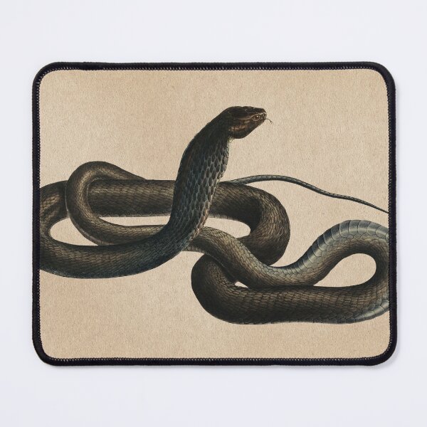 Item preview, Retro Cobra Art Scientific Illustration designed and sold by InnerCitadel.