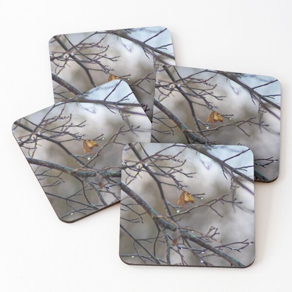 Item preview, Leaf Hanging On designed and sold by RPoli3.