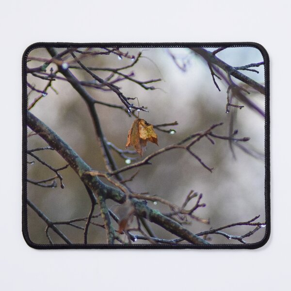 Item preview, Leaf Hanging On designed and sold by RPoli3.