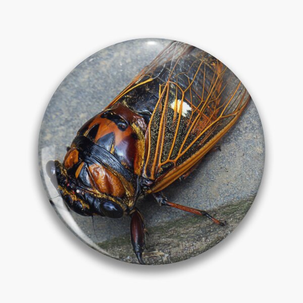 Item preview, CICADA designed and sold by likbatonboot.