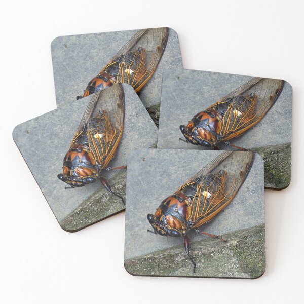 Item preview, CICADA designed and sold by likbatonboot.