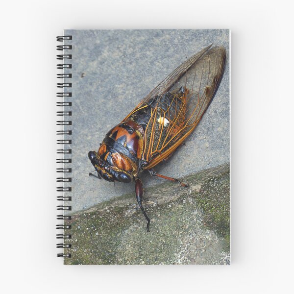 Item preview, CICADA designed and sold by likbatonboot.