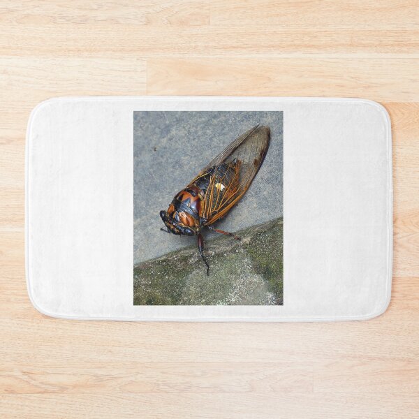 Item preview, CICADA designed and sold by likbatonboot.