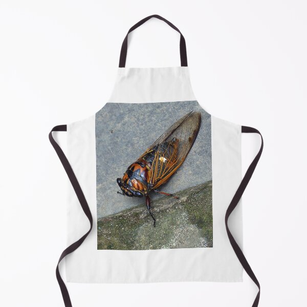 Item preview, CICADA designed and sold by likbatonboot.