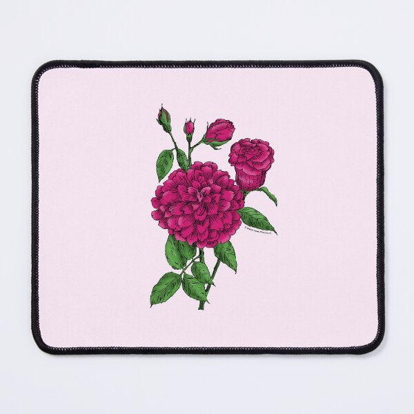 Item preview, Deep Pink Flat Rose Bloom Full 26-40 Petals In 3+ Rows designed and sold by Rachael Taylor.