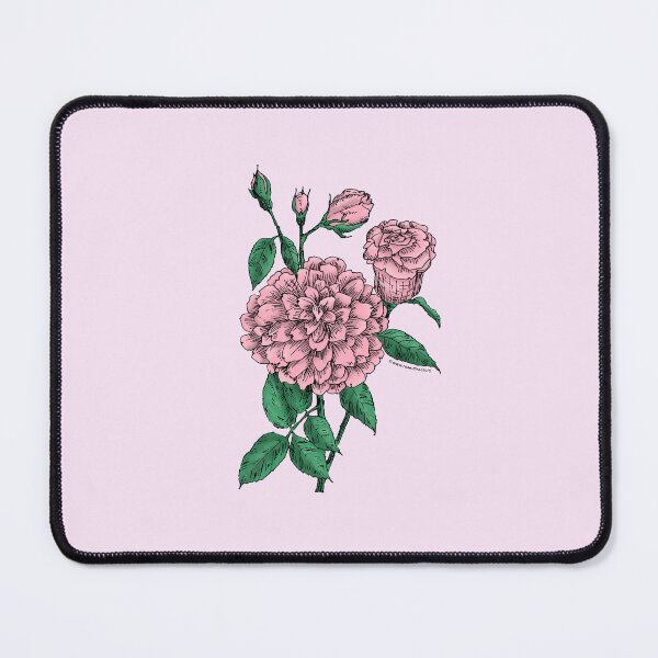Item preview, Light Pink Flat Rose Bloom Full 26-40 Petals In 3+ Rows designed and sold by Rachael Taylor.