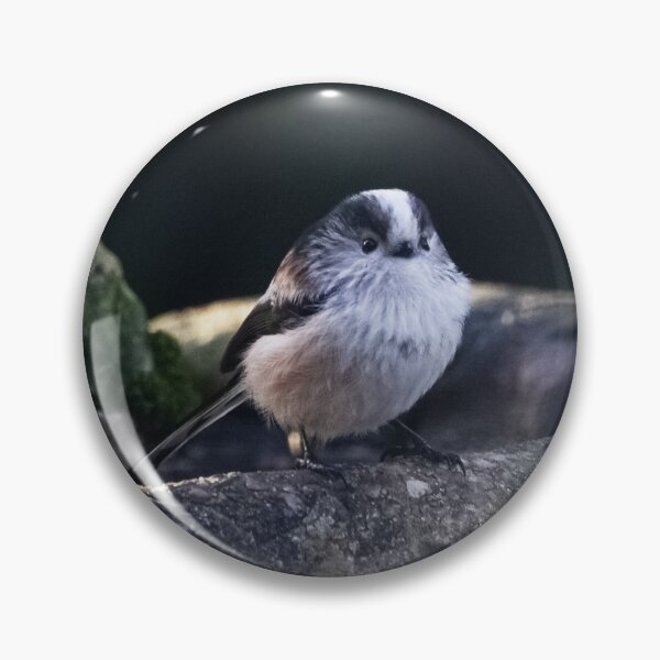 Artikelvorschau, Schwanzmeise auf der Vogeltränke entworfen und verkauft von StelleryART.