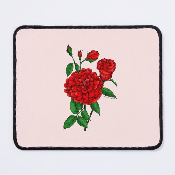Item preview, Bright Red Flat Rose Bloom Full 26-40 Petals In 3+ Rows designed and sold by Rachael Taylor.